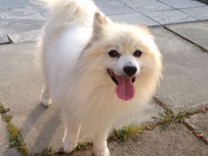 Some of those we have helped